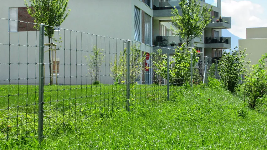 11.0-Tierhaltung-Knotengitterzaun.JPG