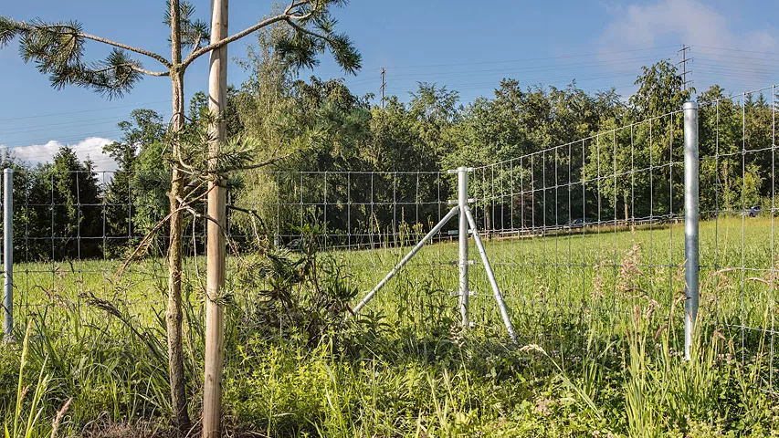 11.1-Tierhaltung-Knotengitterzaun.jpg