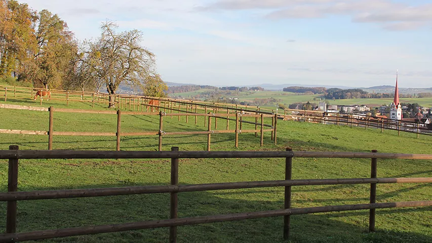 Tierhaltung-Lattenzaun.jpg