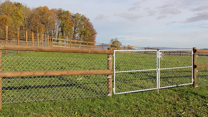 Tierhaltung-Lattenzaun-mit-Tor.jpg